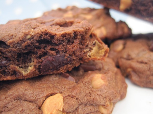 Double Chocolate Peanut Butter Chip Cookies